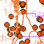 Map_reports