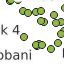 Perpetaan222