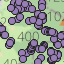 Distributedwells_project_c