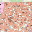 Geomapa1