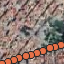 Cloud_test