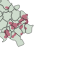 Velo_cctvl