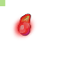 Predio_de_la_escuela_agr_cola-mateo_zigar_n8