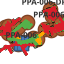 Ppa-006_baustatus