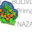 Proyecto_sig_chgelsa