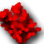 Jcp_web