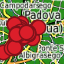 Murales_padova_next