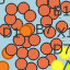 Exportweb