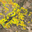 Parcelario_en_aitona_qgiscloud