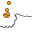 Roble_negro_web