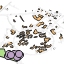 Lab2_data_collection