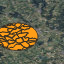 Test1