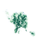 Mapa_web