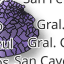 Proyecto_final_web_6