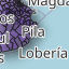 Proyecto_final_web_7