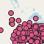 Beerdigungen_in_na_web