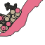 Dados_savam_pddus
