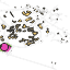 Datacollectionlab